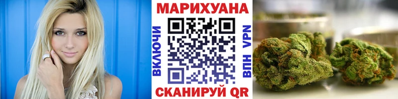 Марихуана план  Кузнецк 